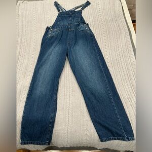 We The Free Ziggy Denim Overalls